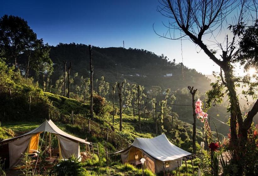 Hostel Zostel Ooty 17