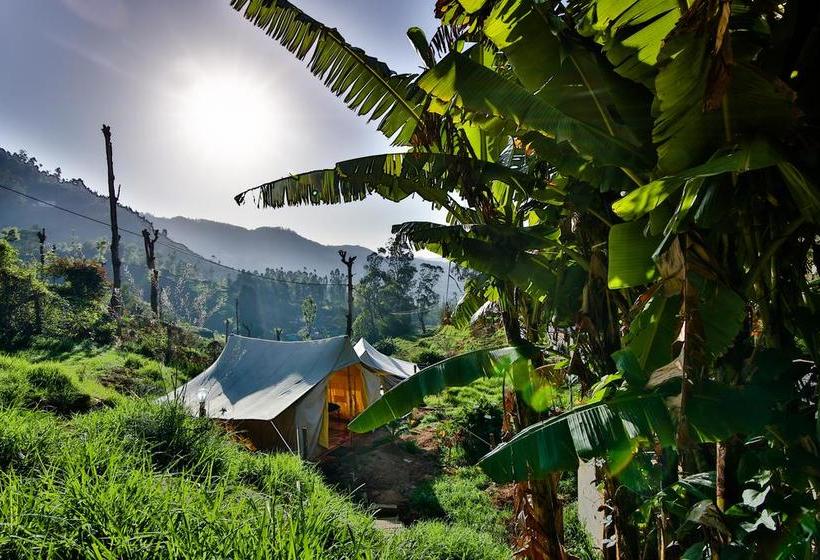 Hostel Zostel Ooty 18