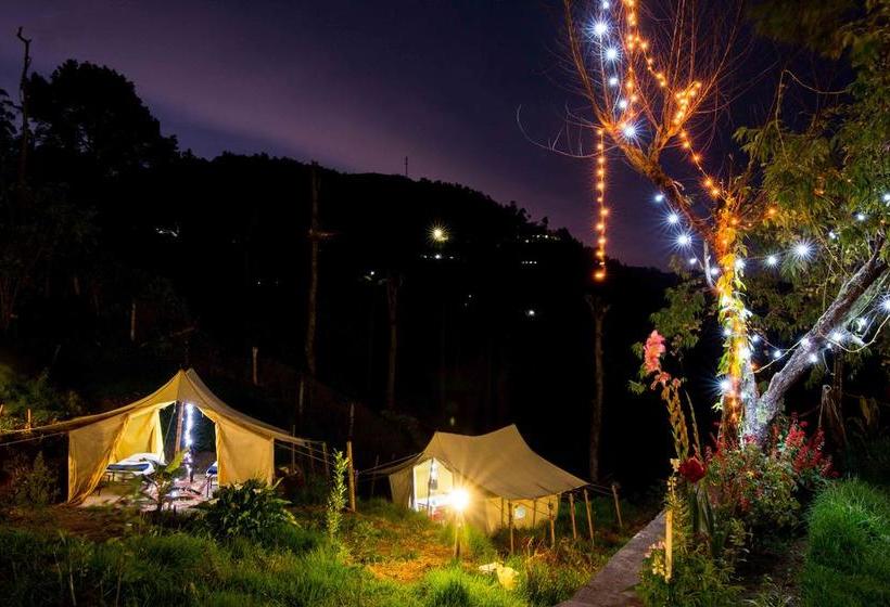 Hostel Zostel Ooty 19