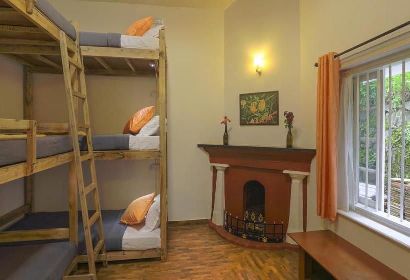 Hostel Zostel Ooty 3