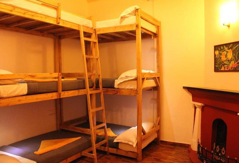 Hostel Zostel Ooty 6