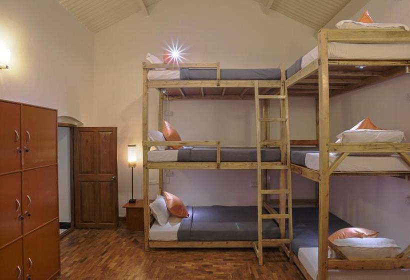 Hostel Zostel Ooty 7