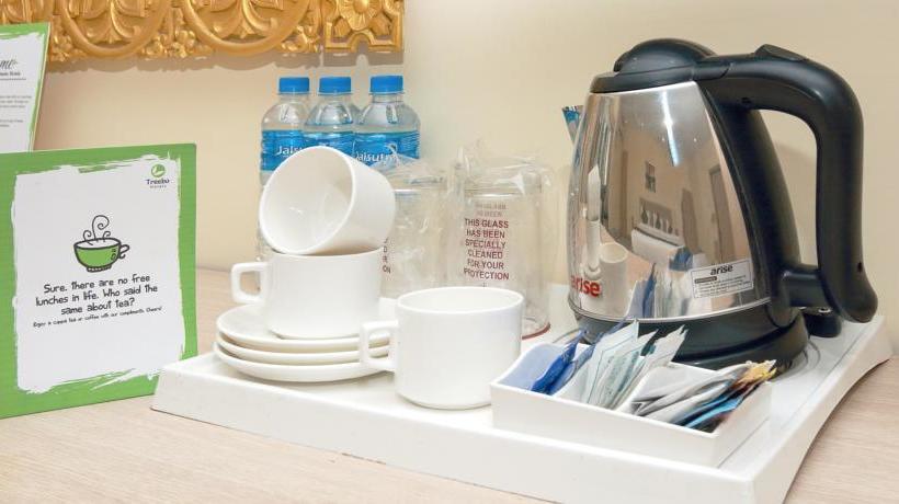 Hotel Treebo Sher E Punjab 13