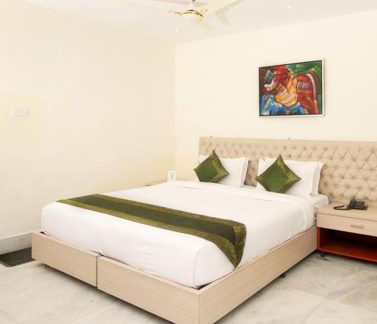 Hotel Treebo Sher E Punjab 20