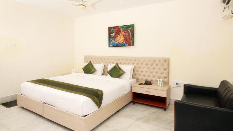 Hotel Treebo Sher E Punjab 7