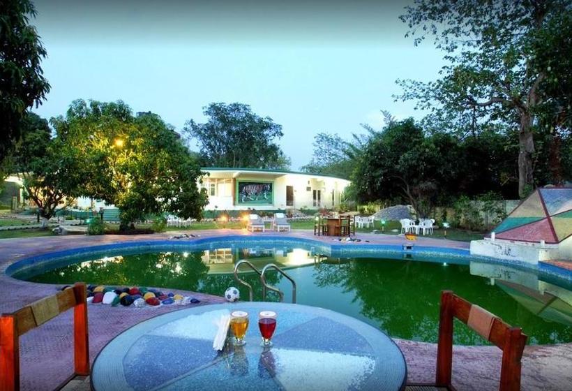 Kanwhizz Hum Tum Resort 4