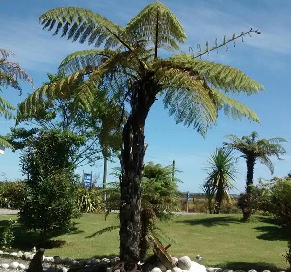 Motel Sunset Accommodation 11