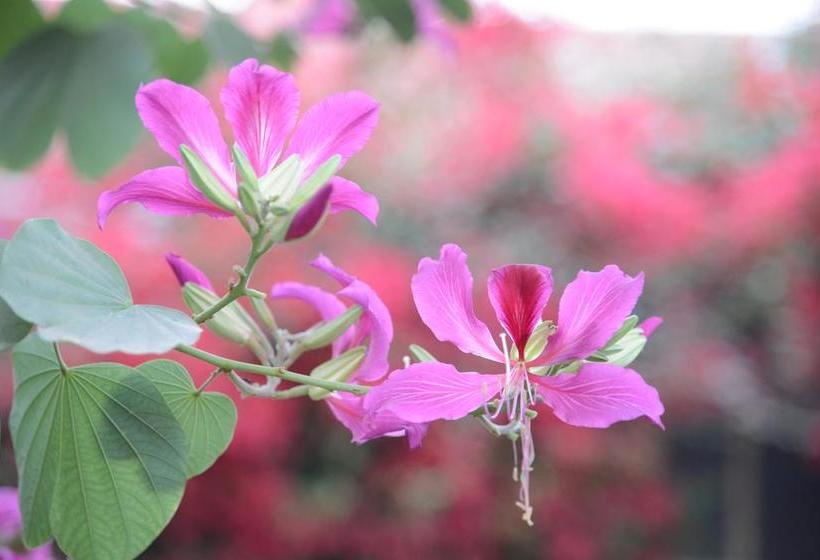 Hotel Jaswant Bhawan 3