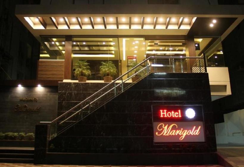 Hotel Marigold Vadodara