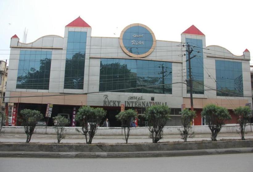 Hotel Ricky International Punjab