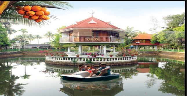 Resort Palm Grove Holidays 4