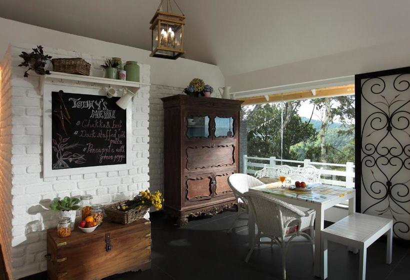 Hotel Hills & Hues 11