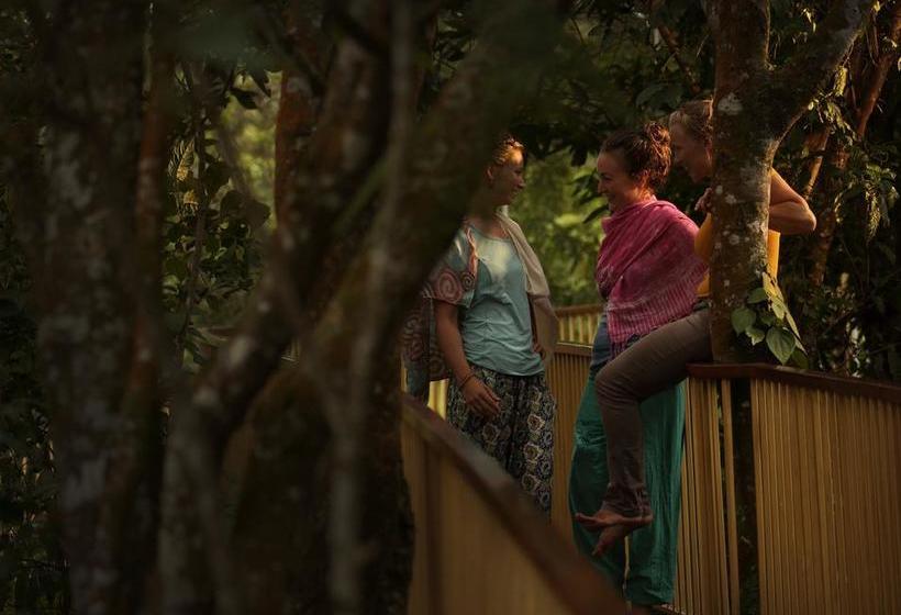 Hotel Hills & Hues 15