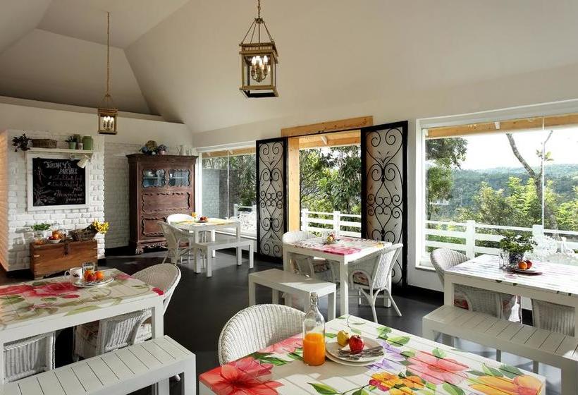 Hotel Hills & Hues 16