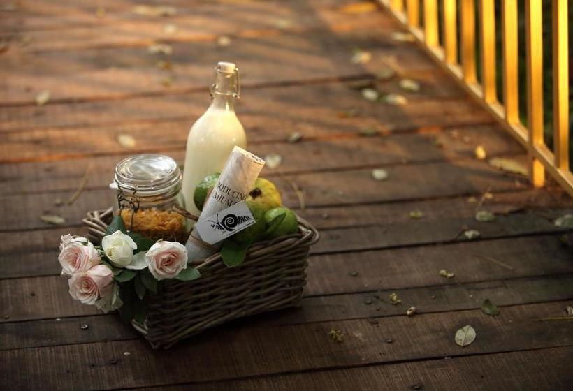 Hotel Hills & Hues 17