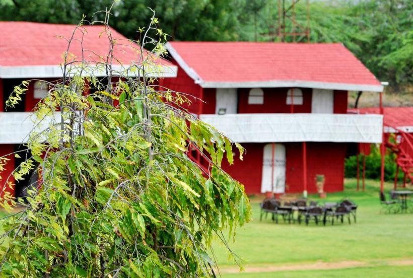 Comfy Shakti Resort Pushkar 10