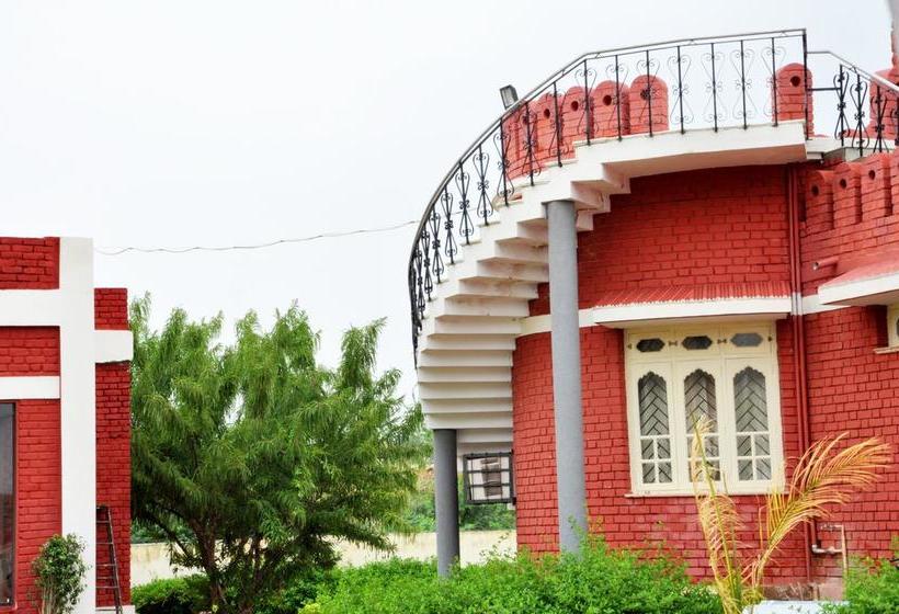 Comfy Shakti Resort Pushkar 7