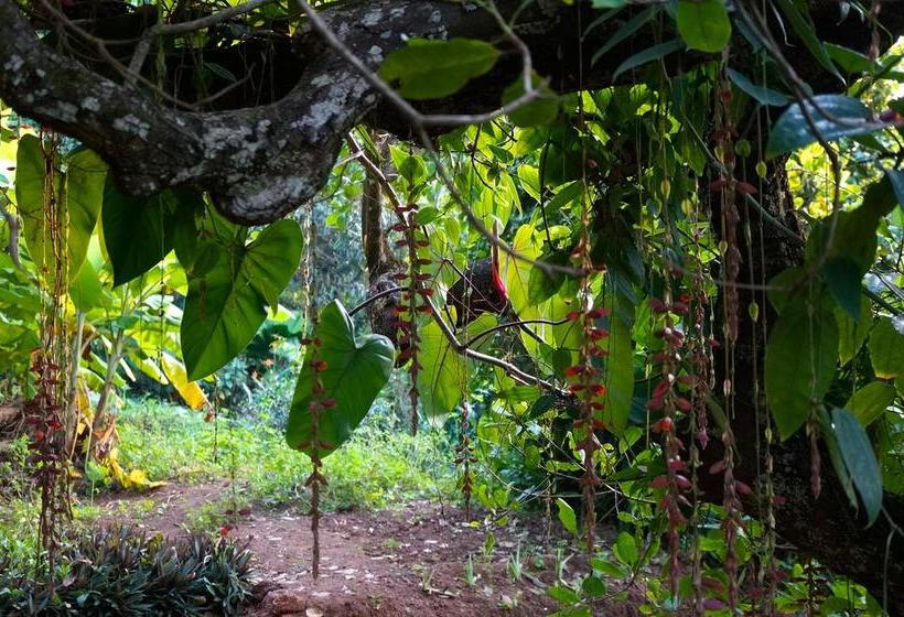 Resort Khaama Kethna Retreat Centre