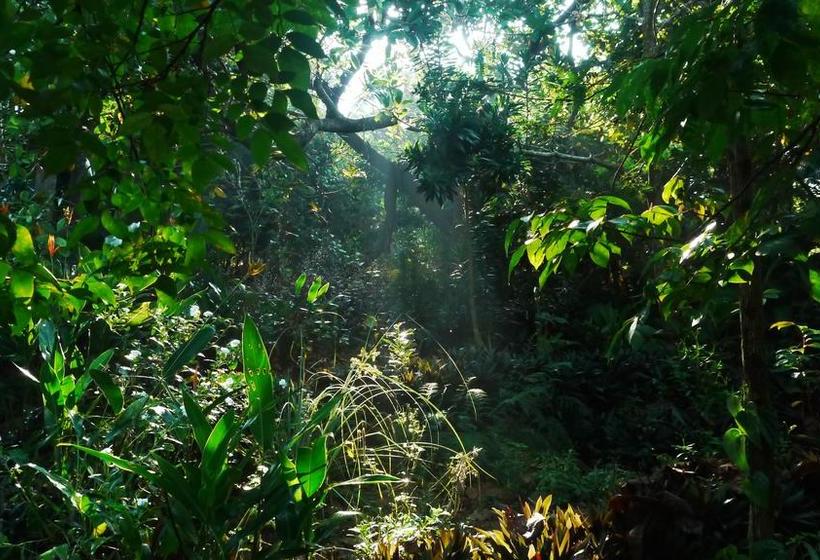 Resort Khaama Kethna Retreat Centre 1