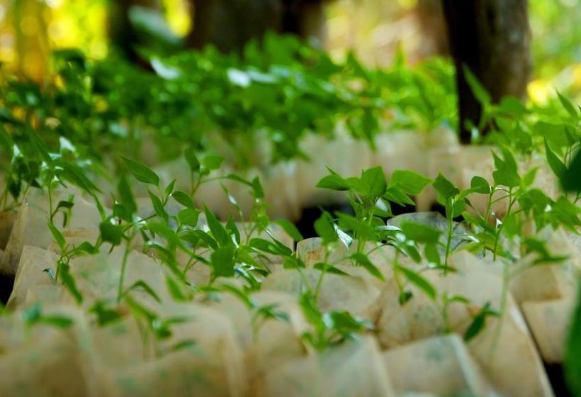 Resort Khaama Kethna Retreat Centre 4