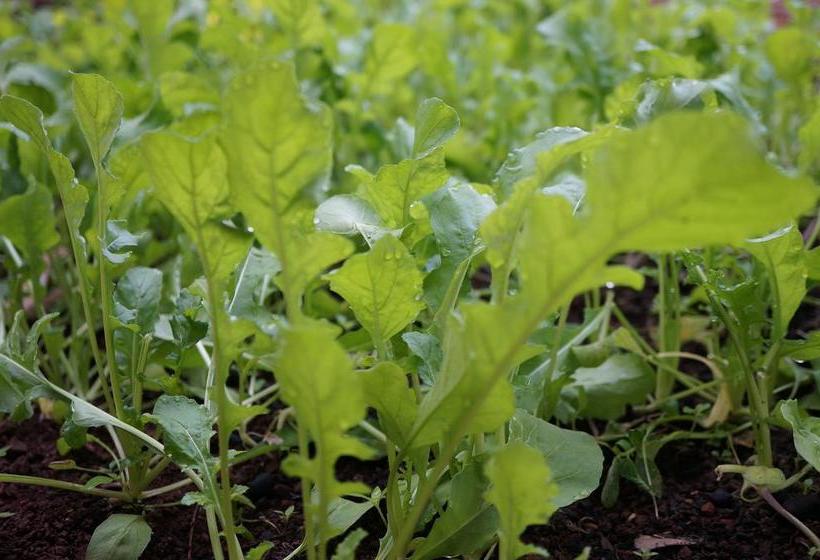 Resort Khaama Kethna Retreat Centre 5