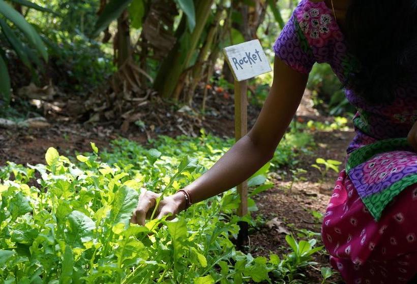 Resort Khaama Kethna Retreat Centre 6