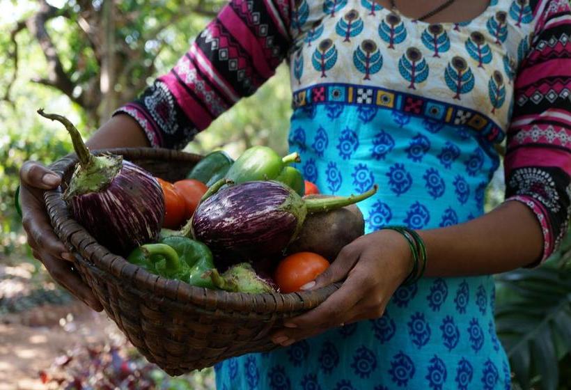 Resort Khaama Kethna Retreat Centre 7