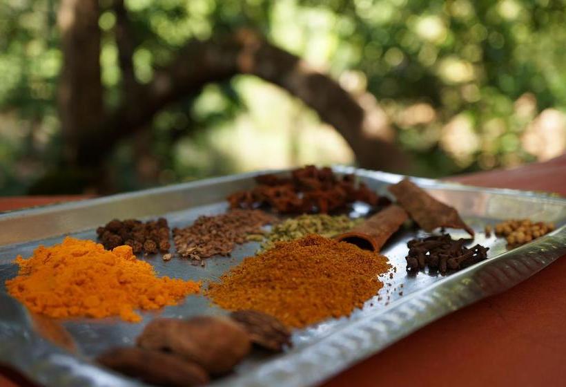 Resort Khaama Kethna Retreat Centre 9