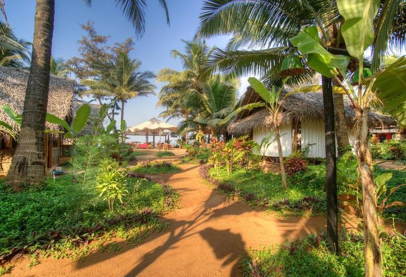 Jojolapa Agonda Resort 17