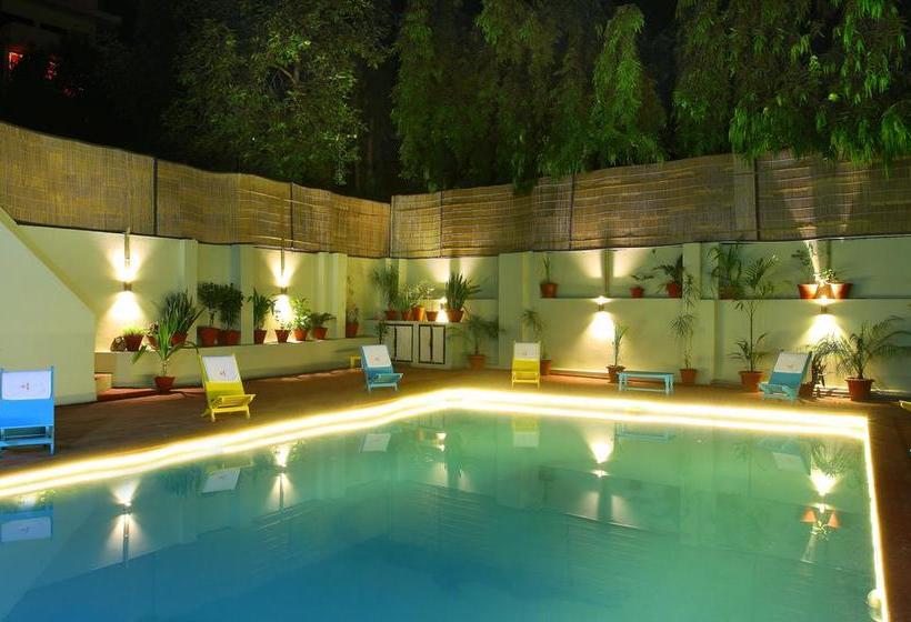 Hostel Zostel Pushkar