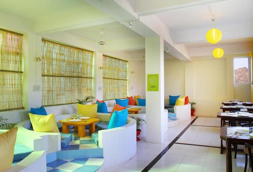 Hostel Zostel Pushkar 10