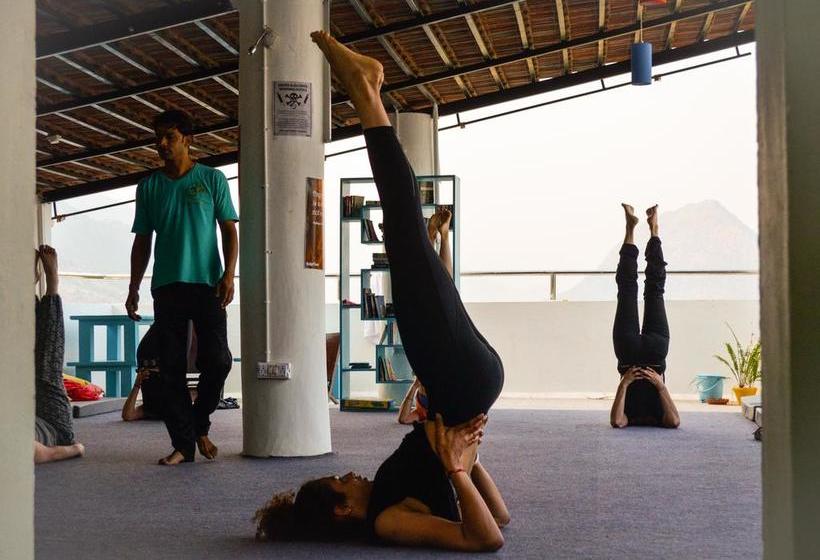 Hostel Zostel Pushkar 17