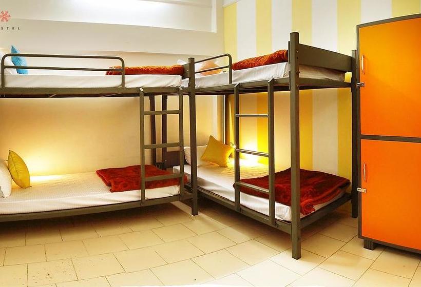 Hostel Zostel Pushkar 19