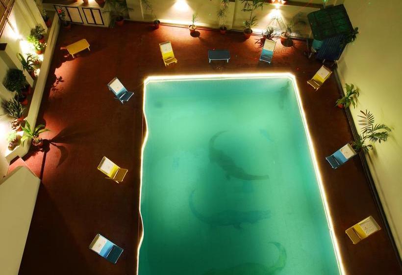 Hostel Zostel Pushkar 6