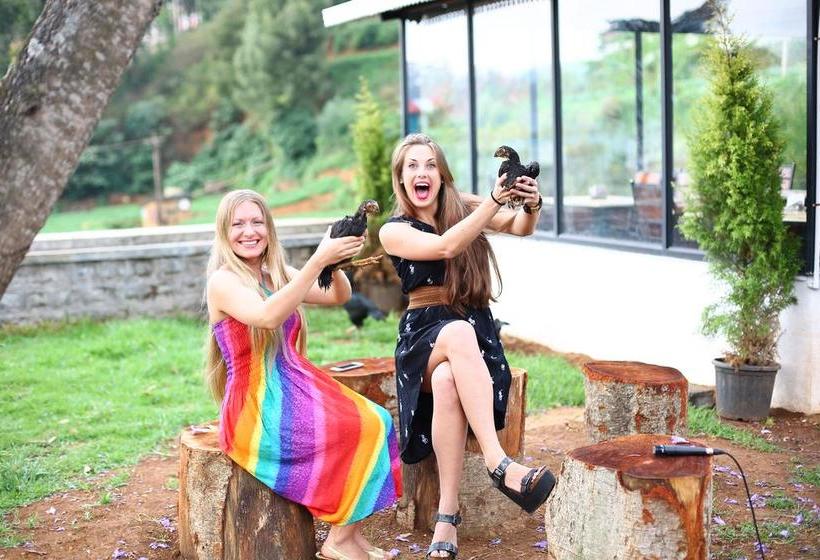 Resort Country Tavern 15