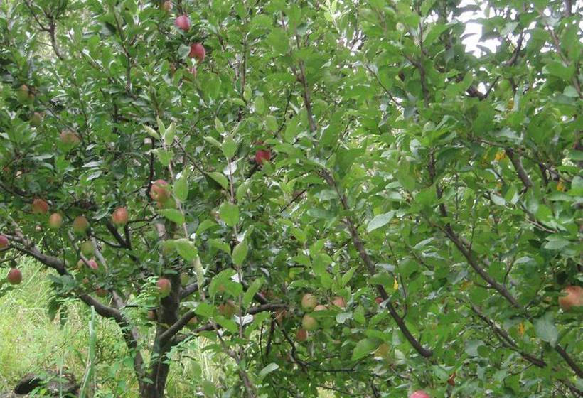 Bed and Breakfast Abode Home Cool & Homely Place 12