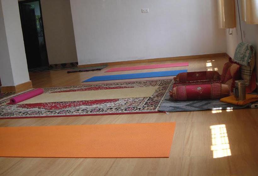 Hotel Vyas & Nirvana Yoga 19