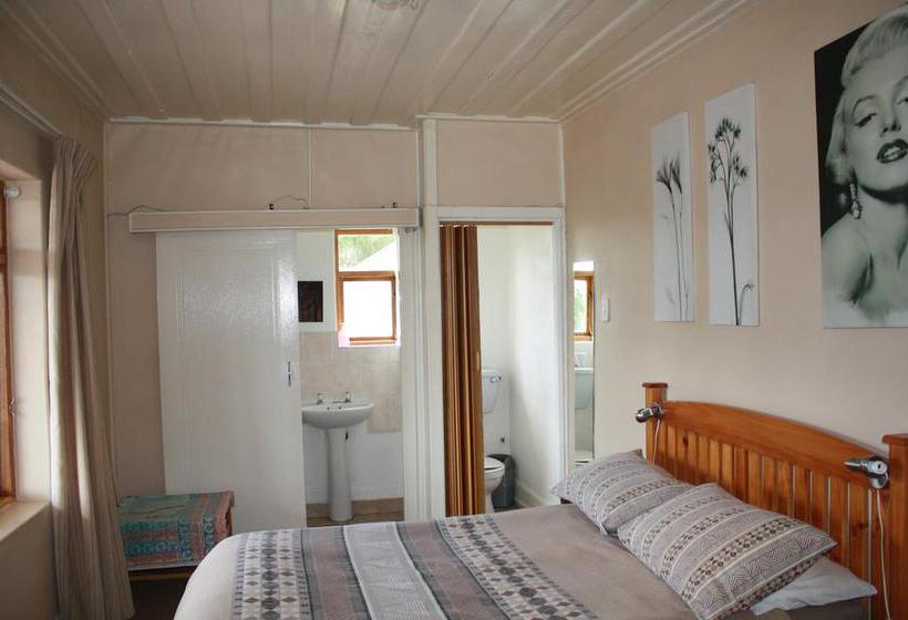 Hostel Backpackers Paradise And Joyrides 12