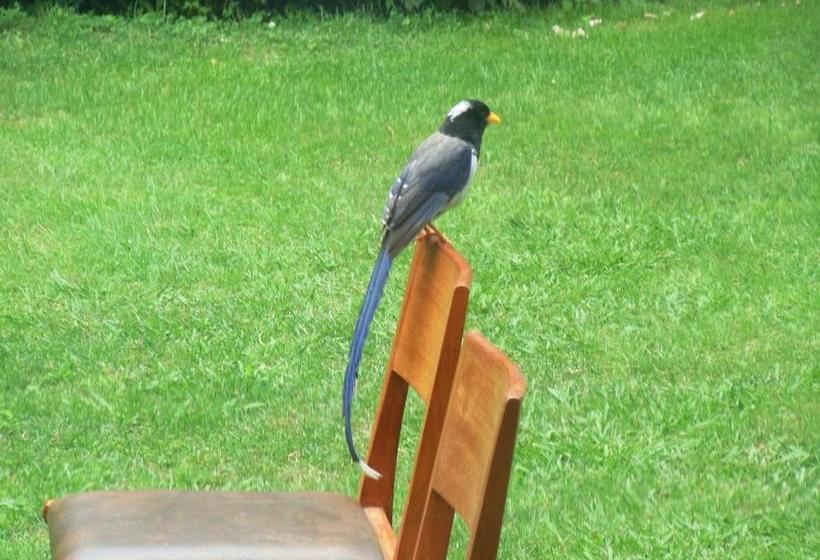 Bed and Breakfast The Sunshine Heritage 15