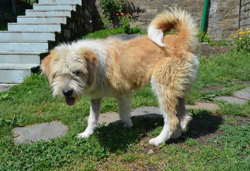 Bed and Breakfast The Sunshine Heritage 19