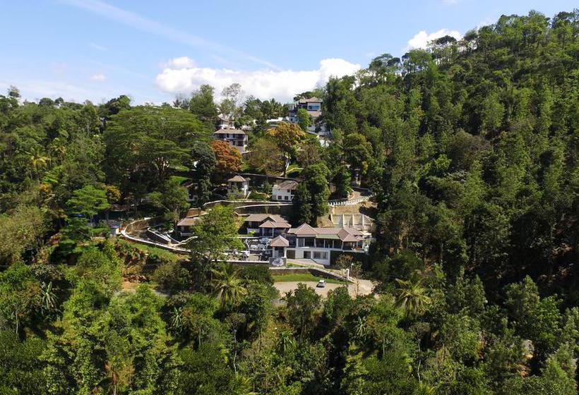 Resort Forest Canopy