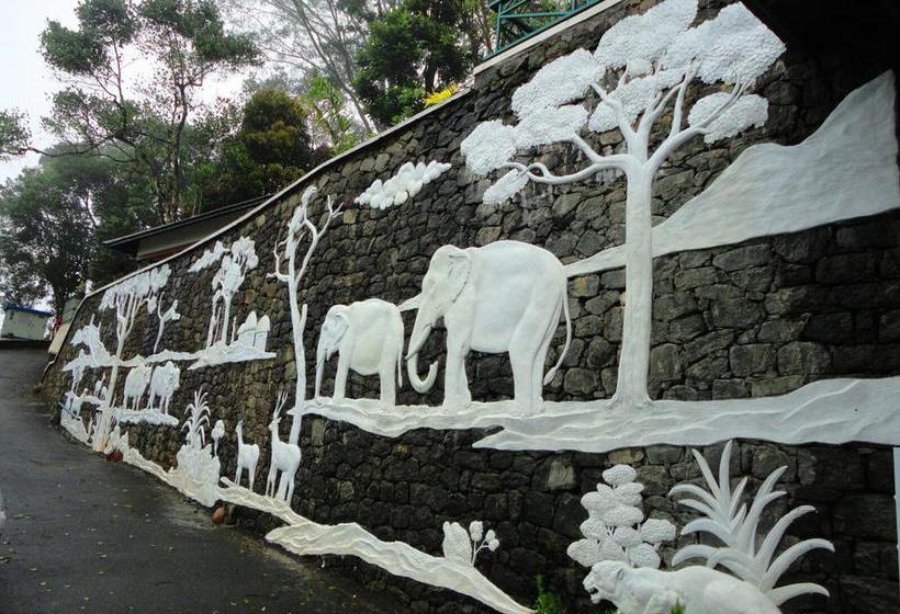 Resort Forest Canopy 1
