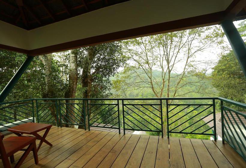 Resort Forest Canopy 15