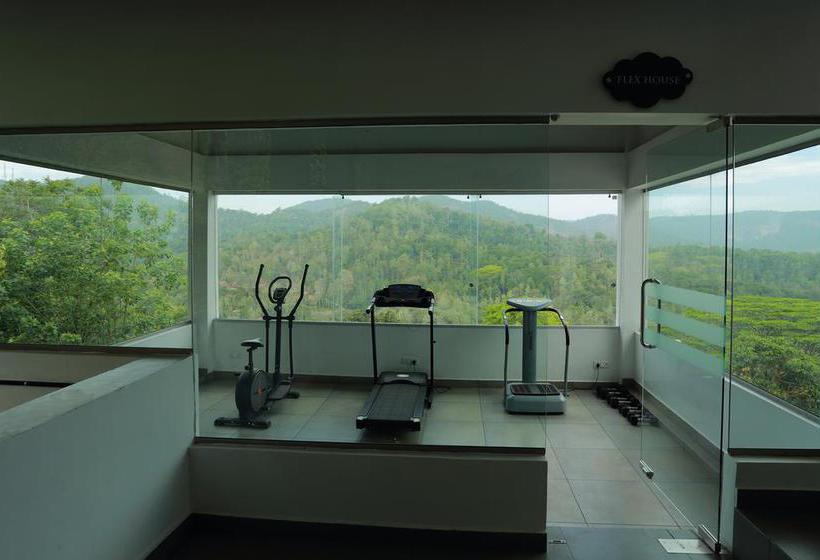 Resort Forest Canopy 16