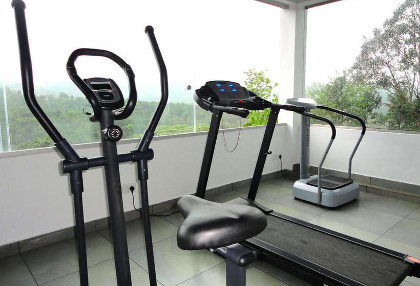 Resort Forest Canopy 20