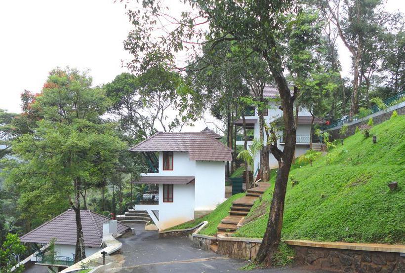 Resort Forest Canopy 7