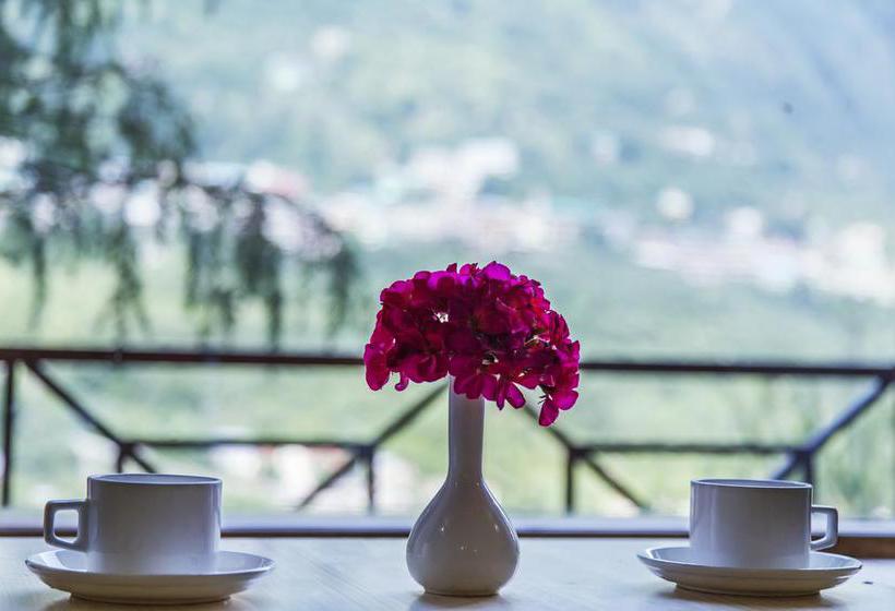 Bed and Breakfast Shobla Pine Royale 9