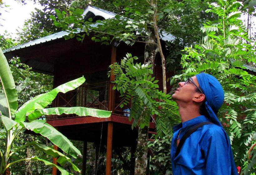 Bed and Breakfast Monsoon Retreats Thekkady