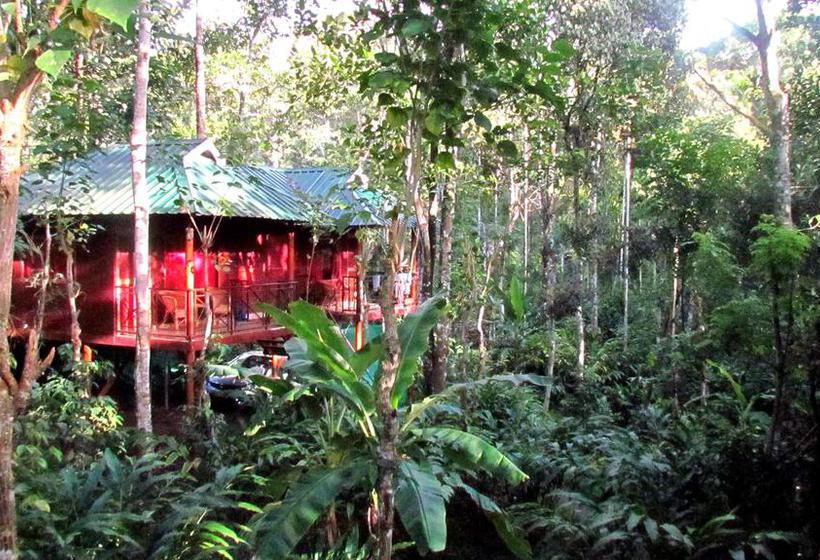 Bed and Breakfast Monsoon Retreats 13