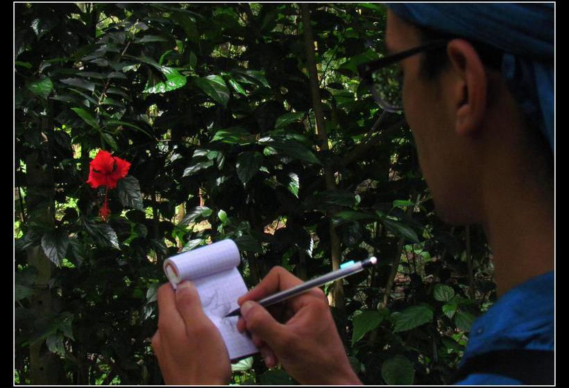 Bed and Breakfast Monsoon Retreats 4